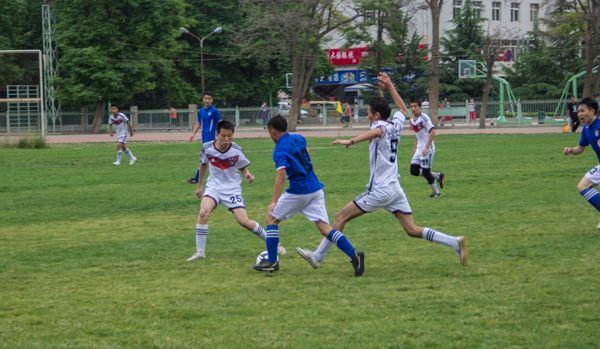 他们不仅展 他们不仅展